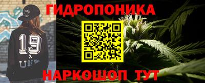 PSILOCYBIN Новозыбков