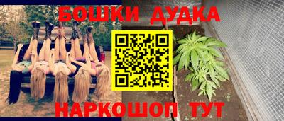 МДПВ Новодвинск