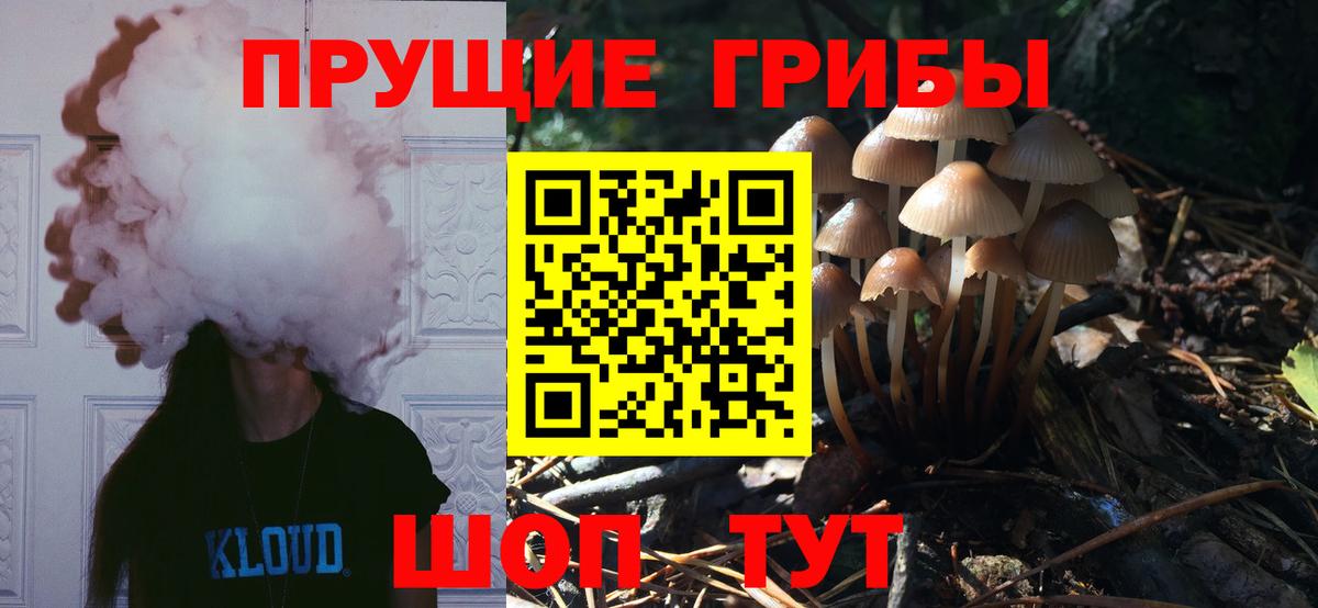 закладки  Вход с VPN  Туапсе  Псилоцибиновые грибы прущие грибы 