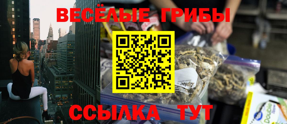 Галлюциногенные грибы мицелий Туапсе